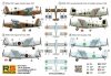 RS Models 92307 RWD-13 Legion Condor Polish Touring Plane 1/72